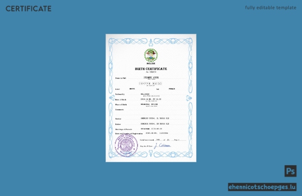 Belize Geburtsurkunde (PSD-Beispiel)
